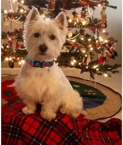 Christmas Dog Collar, Red and Green Plaid Adjustable Pet Collar with Snowflake Charm, Holiday Dog Accessories for Small Medium Large Dogs