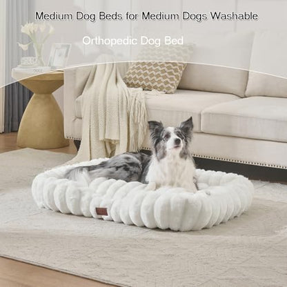 Luxury Dog Beds,Large Sized Dog Washable Furry Pet Beds,Comfort Rectangle Pet Sofa Couch with Ultra,Puppy Beds with Removable Zipper Cover,30x25x7.5inches,Beige