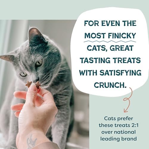 Shameless Pets Crunchy Cat Treats - Yam Good Salmon, 3-Pk