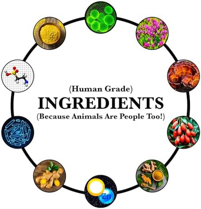 Anti-Aging & Immune Support | Organic, Human-Grade Ingredients | Medicinal Plants & Mushroom Extracts | Omega 3's, Antioxidants, Probiotics, Vitamins & Minerals | Plant-Based & Vegan