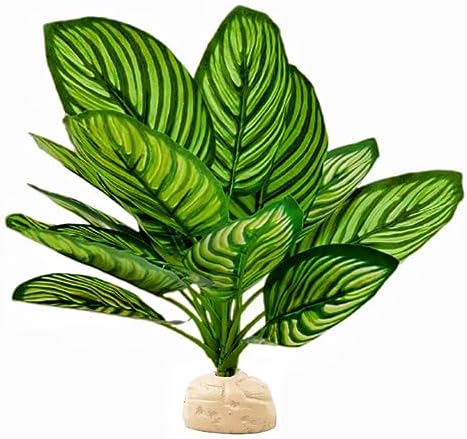 Reptile Plants for Terrarium Decor,Leopard Gecko Tank Plants