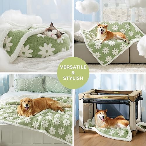 LE SURE Waterproof Dog Blankets for Medium Dogs Cute 3D Jacquard,30x40