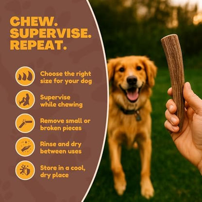 WhiteTail Naturals Whole Deer Antler Dog Chew - Medium 5-6" - 1Ct.