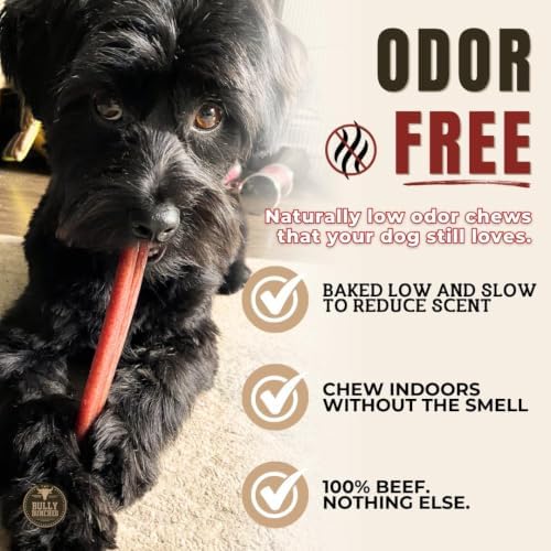 Bully Bunches Premium (6" Standard - 5 Pack) Odor-Free Bully Sticks for Small to Medium Dogs & Puppies - Consistently Sized, Long Lasting Chews for Oral Care - All Natural, 100% Beef Dog Treats