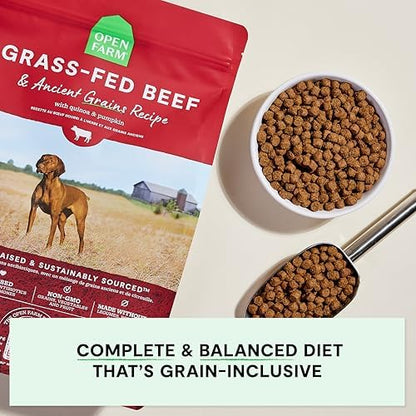 Open Farm Ancient Grains Dry Dog Food, Grass-Fed Beef Kibble, 4lb Bag