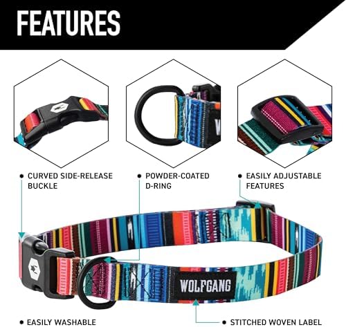 Wolfgang Heavy Duty Martingale Dog Collar with Quick Release Nylon Buckle for Walking & Training, Quetzal Print, Large | Heavy Duty, with Quick Release Nylon Buckle for Walking & Training