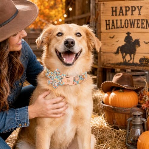 Elegant little tail Halloween Dog Collar, Pink Pumpkin Flower Girl Pet Collars for Female Dogs Pet Adjustable Puppy Collars with Flowers for Small Medium Large Dogs