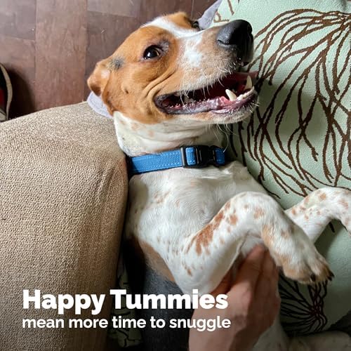 Vetnique Glandex Rapid Digestive Support for Dogs, Pumpkin + 7 Probiotics