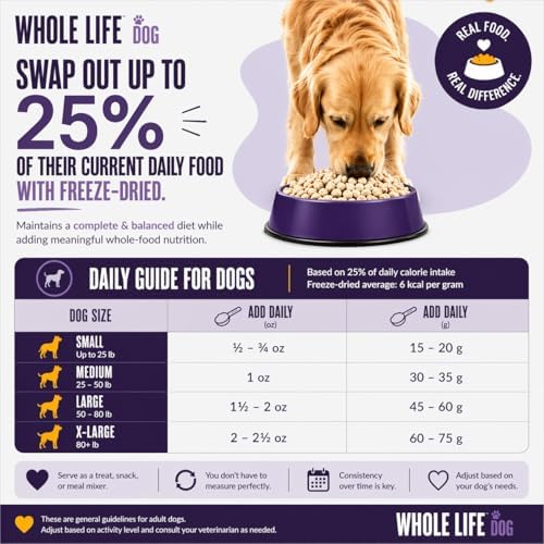 Whole Life Dog Healthy Skin and Coat Dog Supplements for Dry Skin, Allergy & Stomach Relief, Immune & Digestive Support, Probiotics & Omega 3 - Food Add-Ins - 90 Servings