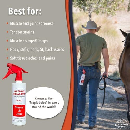 Four Oaks Farm Ventures, Natural Release Muscle Spray Treatment - Horse Liniment for Sore Muscles, Joint Pain, Tendon & Inflammation Relief - Easy to Use, Fast Acting, Alcohol & Menthol Free (32 oz)