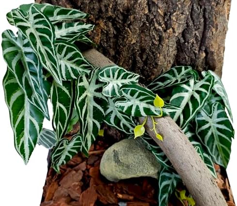 Woyrise Fake Reptile Plants for Terrarium,Tank Decor, Artificial Plant