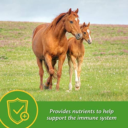 Farnam Grow Colt Supplement for Foal Growth & Development, 30 Day Supply