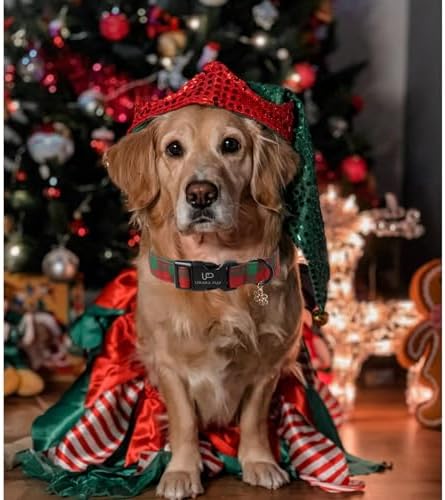Christmas Dog Collar, Red and Green Plaid Adjustable Pet Collar with Snowflake Charm, Holiday Dog Accessories for Small Medium Large Dogs