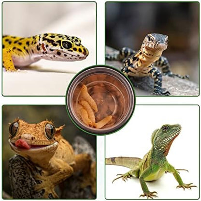 0.5oz Crested Gecko Food and Water Feeding Cups, Reptile Feeder Bowls, Plastic Replacement Food Dish for Lizard and Other Small Pet Ledge Accessories (100 pcs)