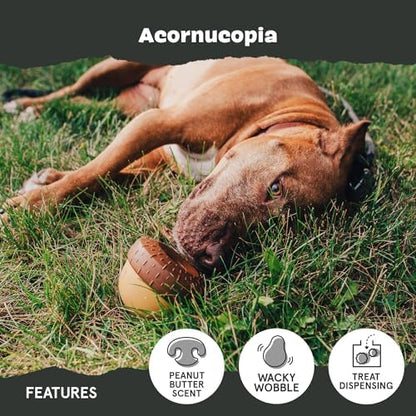 BarkBox Acornucopia Super Chewer - Toy for Large Dogs
