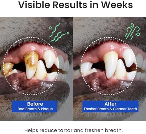 Dog & Cat Teeth Cleaning Powder: Plaque & Tartar Control with Brown Algae, Kelp, Probiotics (1.3B CFU), Sodium Hexametaphosphate & Enzymes – Freshens Breath – Chicken Flavor, 64 Scoops