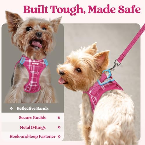rabbitgoo Dog Harness Medium Sized and Leash Set, Step-in Puppy Pet Vest