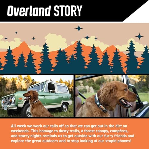 Wolfgang Heavy Duty Dog Leash, Pull-Tested to Over 800 lbs for Walking & Training, Overland Print, Large