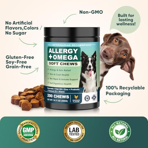 Dog Allergy Chews Omega 3 is Human,Itch Relief Multivitamin Medicine for Dogs Itching Skin Relief and Aller Immune Pet Allergy Dog Anti Itch Chews Pills Meds Medicine for Dogs Chicken Flavor