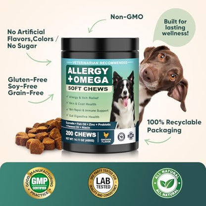 Dog Allergy Chews Omega 3 is Human,Itch Relief Multivitamin Medicine for Dogs Itching Skin Relief and Aller Immune Pet Allergy Dog Anti Itch Chews Pills Meds Medicine for Dogs Chicken Flavor