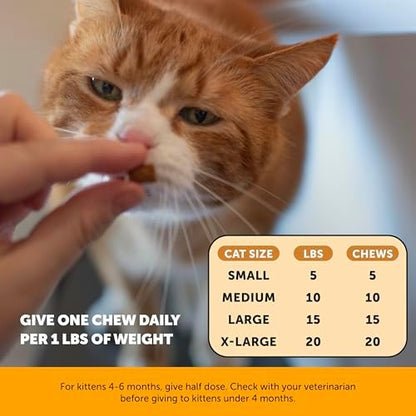 Cat Immune Support Lysine – Allergy Relief & Immune Health Supplement for Cats with L-Lysine, Colostrum, Quercetin & Omega-3 – Soothes Sneezing, Runny Nose & Itchy Skin Chicken, (90-Day Supply)