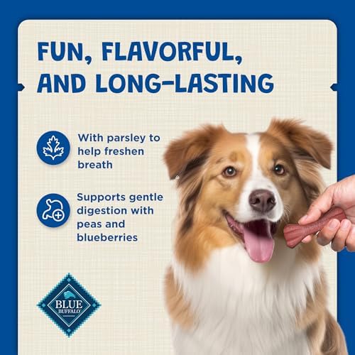 Blue Buffalo Mini Dental Bones, 27 oz, 97 Mini Bones