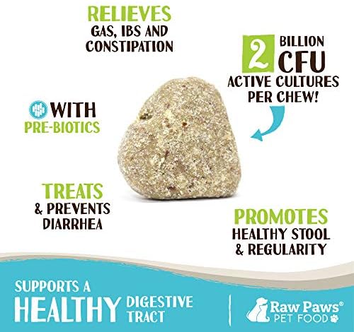 Raw Paws Natural Dog Probiotic Supplement with Prebiotics, 10-oz/100-ct