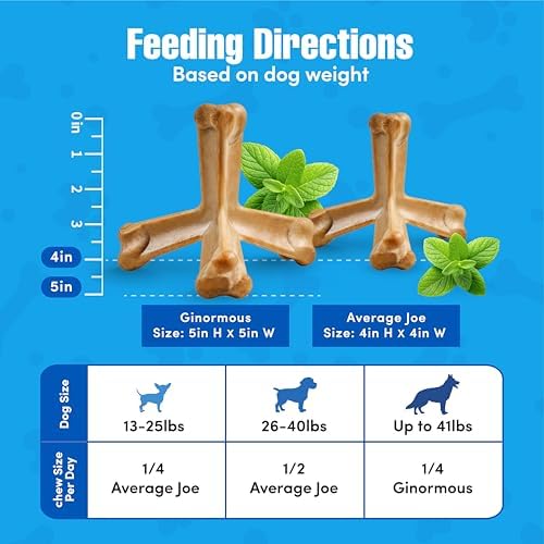 N-Bone Quado Edible Interactive Dog Chew, Peanut Buttter Flavor, Easy Grip Design, Organic Dog Chew Good for Maintain Oral Health, Organic Dog Treat