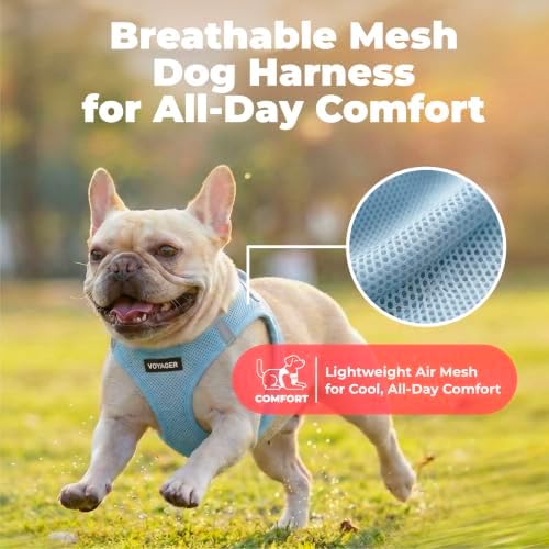 Voyager Step-in Air Dog Vest Harness - Baby Blue, Medium