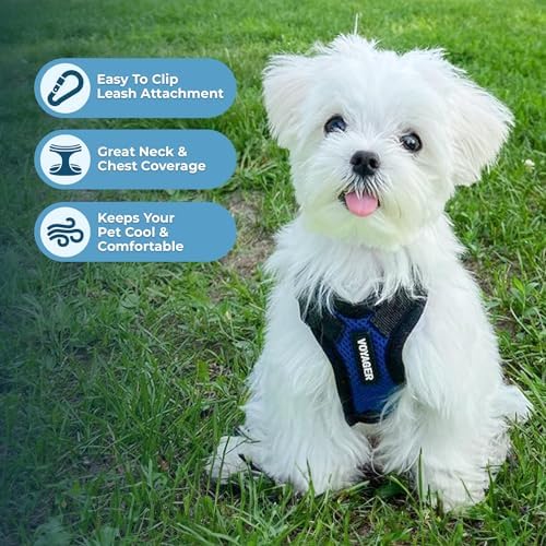 Voyager Step-in Lock Dog Harness - Royal Blue/Black Trim, Small