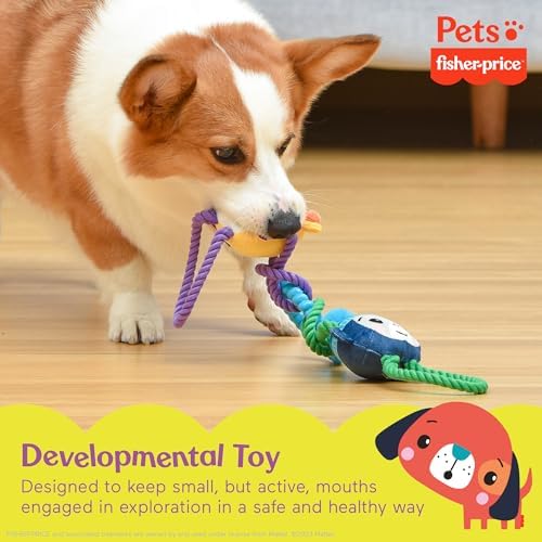 Fisher-Price for Pets 'Tugs With Friends' Interactive Toy for Dogs | Fetch, Tug, Enrichment, and Puppy Teething | Multifunctional