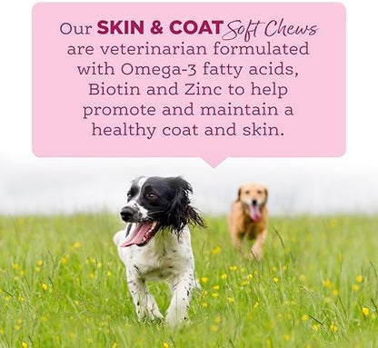 NutriSource AmpliFull Salmon Flavor Skin & Coat Soft Chews for Dogs, Daily Omega-3 Fatty Acids, Zinc & Biotin Supplement for Shiny Coat & Healthy Skin, 70 Chews (1 Pack)