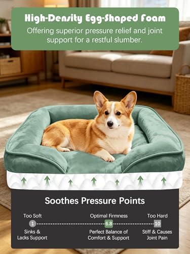 Spotted Play Orthopedic Dog Bed with Sides - Sofa Beds for Medium Dogs, Supportive Foam Pet Couch Bed with Washable Removable Cover, Waterproof Lining and Non-Slip Bottom, Green - M