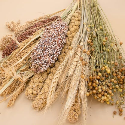 Natural Ear of Grain Flower&Herb Bedding Mate Habitat Decor, Adding Fun Hamster Accessories for Hamsters Gerbils Lemming