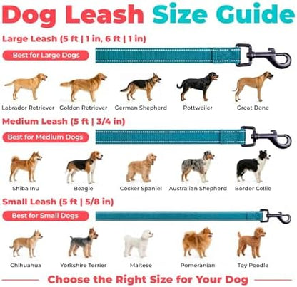 Best Pet Supplies Voyager Nylon Dog Leash - Turquoise, Medium