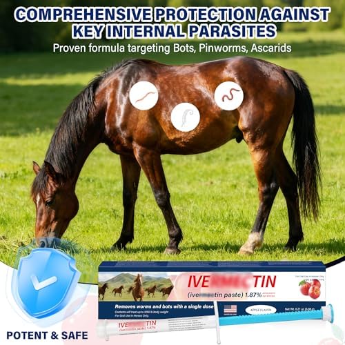 Equine Paste 1.87% – 6 Pack (6.08g) Apple Flavored Oral for Horses
