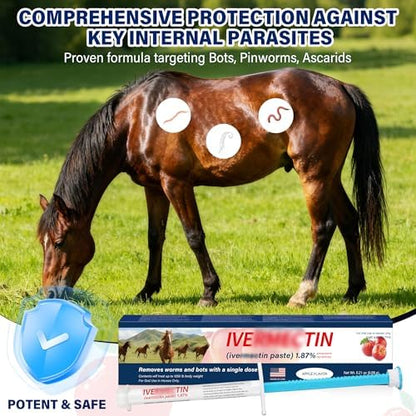 Equine Paste 1.87% – 6 Pack (6.08g) Apple Flavored Oral for Horses