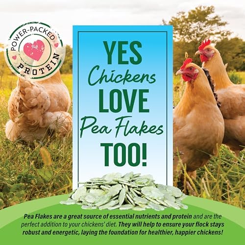 Small Pet Select Pea Flakes Treats for Rabbits & Guinea Pigs, 8 oz