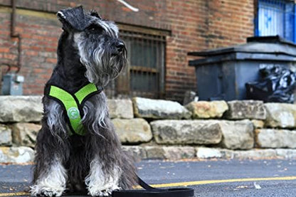 Gooby Comfort X Head-in Dog Harness, Choke-Free, Green, Small