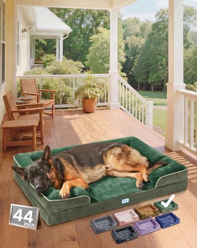 OhGeni Orthopedic Extra Large Dog Bed Couch, Memory Foam, 44-inch (Green)