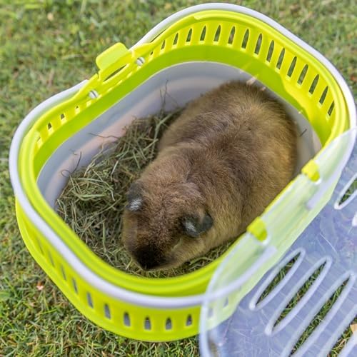 TRIXIE Pico Transport Crate, Great On-The Go Travel with Small Pets, Small