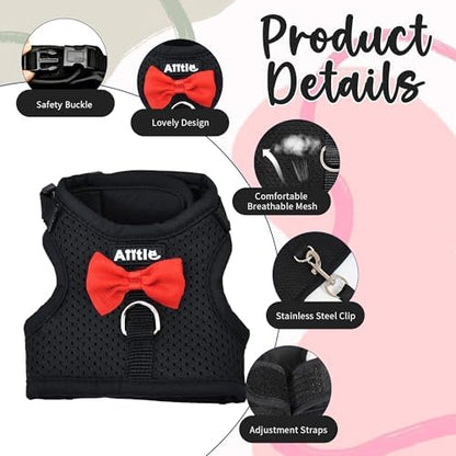 AIITLE Breathable Rabbit Harness and Leash Set with Cute Bow, Black M