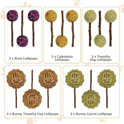 Fhiny Rabbit Chew Toys, 15 PCS Natural Bunny Lollipop Chew Sticks Handmade Guinea Pig Molar Treats for Teeth Small Animals Snacks for Guinea Pig Bunny Chinchilla Hamster Gerbil Teeth Care