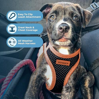 Voyager Step-in Air Dog Harness - All Weather Mesh Step in Vest Harness for Small and Medium Dogs by Best Pet Supplies - Orange Trim, M (Pack of 2)