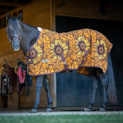 Jeffers Expression Standard Neck Fleece Cooler Horse Blanket, 81" – Lightweight Breathable Polyester Fleece Horse Cooler for Moisture Control, Drying, Layering, All Year Round Use - Bloomin Toolin
