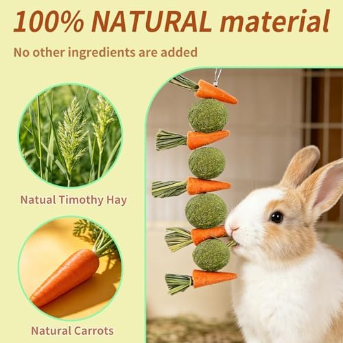 Hamiledyi Rabbit Chew Toys for Teeth Natural Bunny Toys Guinea Pig Treats Hamster Molar Teeth Toys Made with Natural Timothy Grass & Vegetables Suitable for Rodent Pets Small Animal