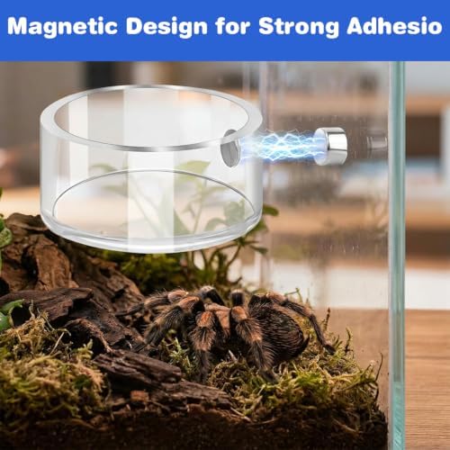 Jumping Spider Feeding Dish Set, Water Bowl with Tweezer