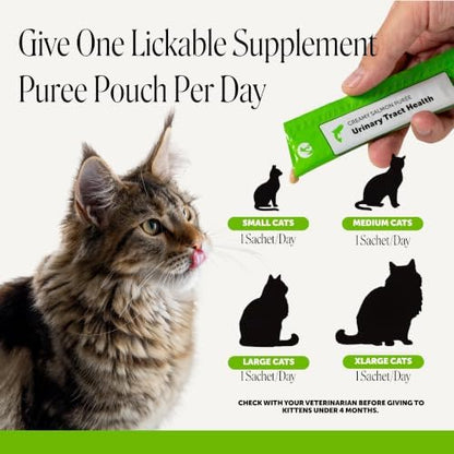 Pet Honesty Vet Recommended Cat Urinary Supplement Lickable Puree, 20 Ct