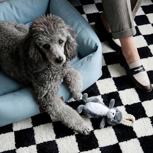 Premium Plush Dog Toy - Arctic Hare Plush Toy, Small Eco Friendly