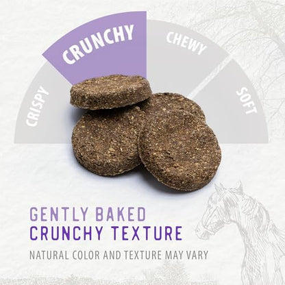 Caledon Farms Harvest Biscuits - Apple & Alfalfa Recipe 32 oz, Horse Treats